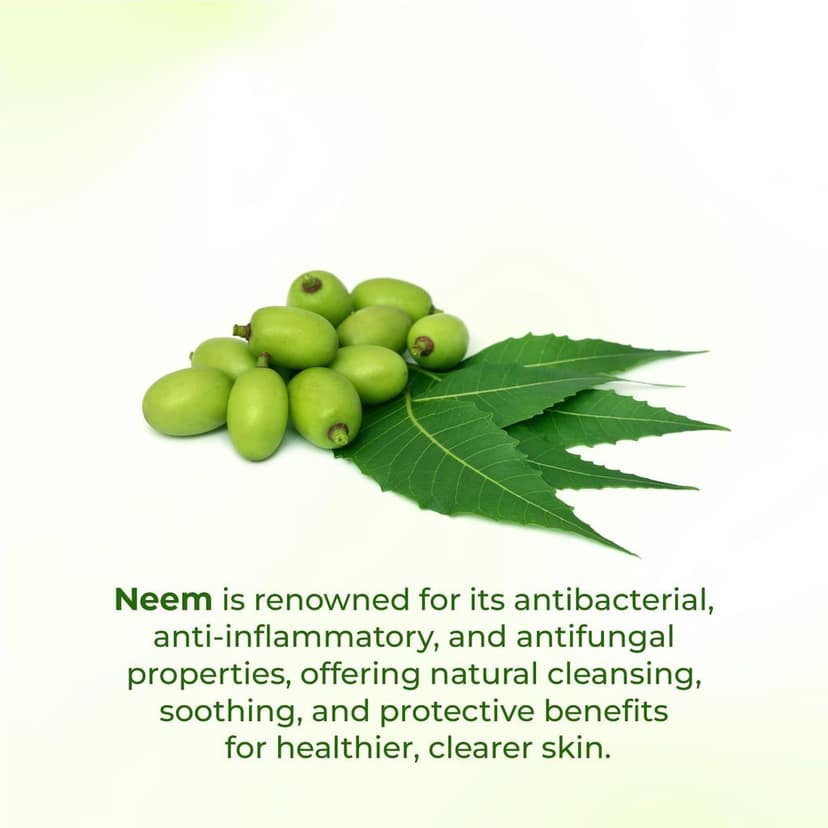 Elois Neem Purifying Face Wash Deep nourishment and Hydration for Radiant Skin Naturally, Remove Excess Oil, For Men & Women 100gm view 6
