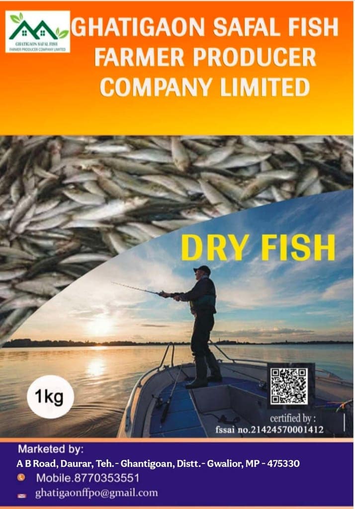 Dry Fish view 3