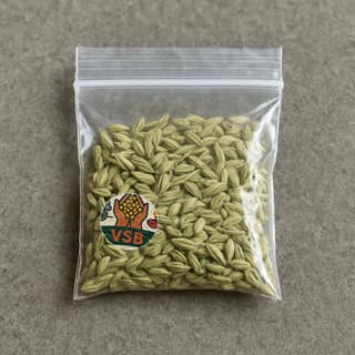 Vanthala Sundharamma Boutique's saunf (fennel seeds)