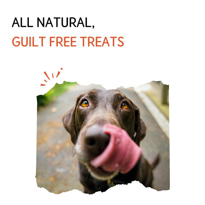Nuts Over Mutts Fish Powder. Rich in Omega 3 and 6. Food Topper for Dogs. for Shiny Skin and Coat. 1 Pack (100 gm) view 7