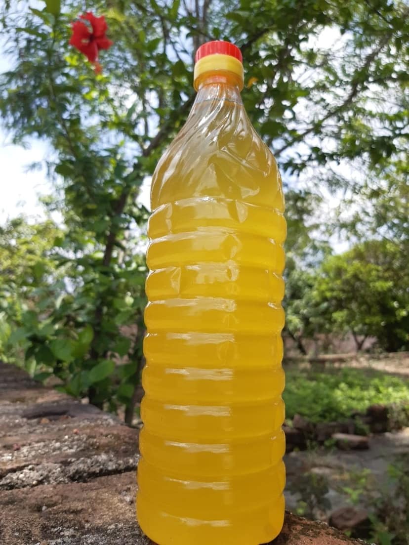 Cold Pressed Groundnut Oil (1 Litre) | Pure & Natural | Everyday Cooking