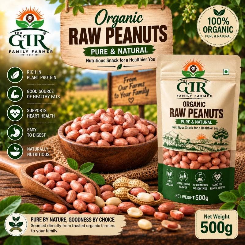 The GIR Family Farmer Organic Raw Peanuts (500g) | Pure & Natural | Healthy Snacking