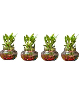 Green plant indoor - Green Wild Artificial Flowers With Pot ( Pack of 4 )