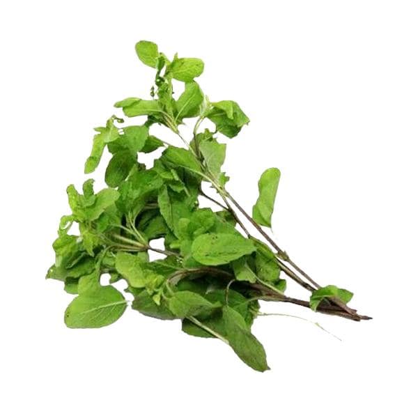 Tulsi Leaves (Bundle)