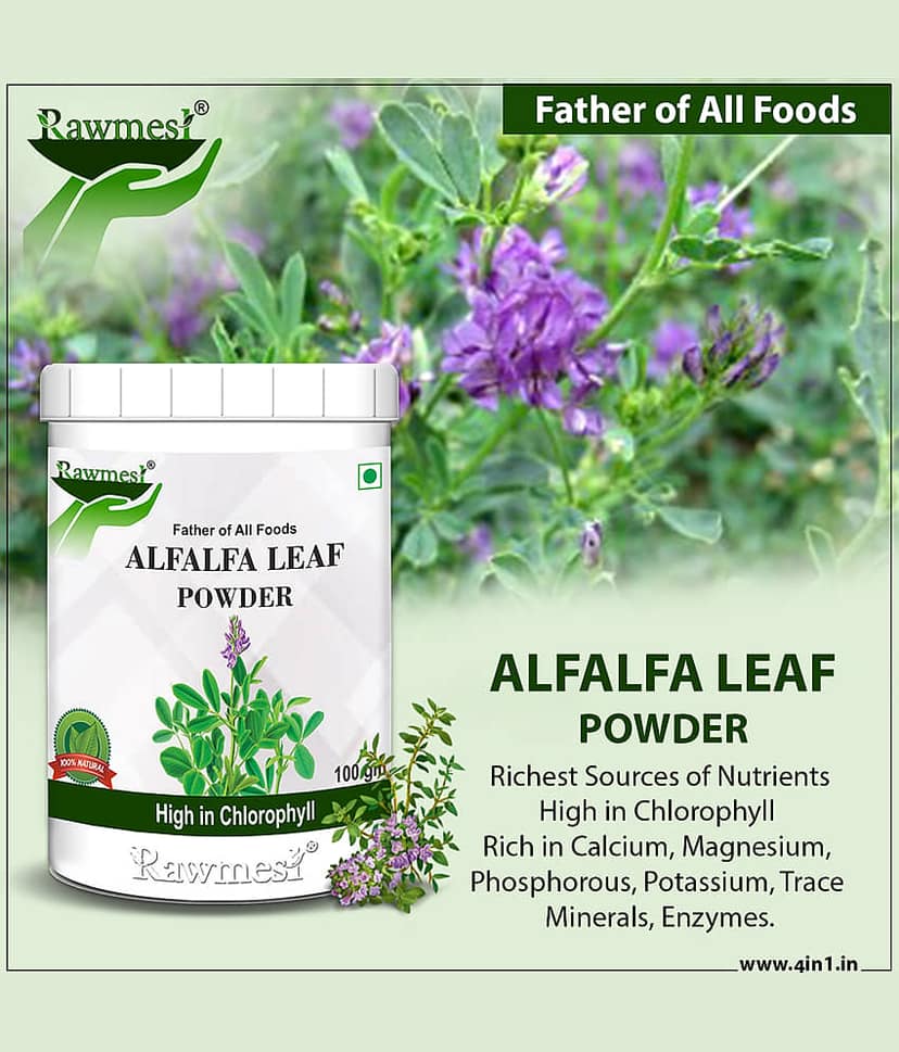 rawmest Alfalfa Leaf Powder 200 gm Pack of 2 view 4