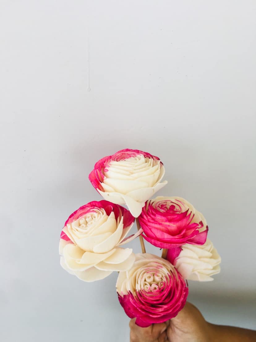 Fuscia Sola Flower (5pcs)