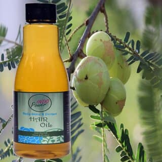 INDOPOWER ADd161-DAILY SHINE PROTECT HAIR OIL 200ml.
