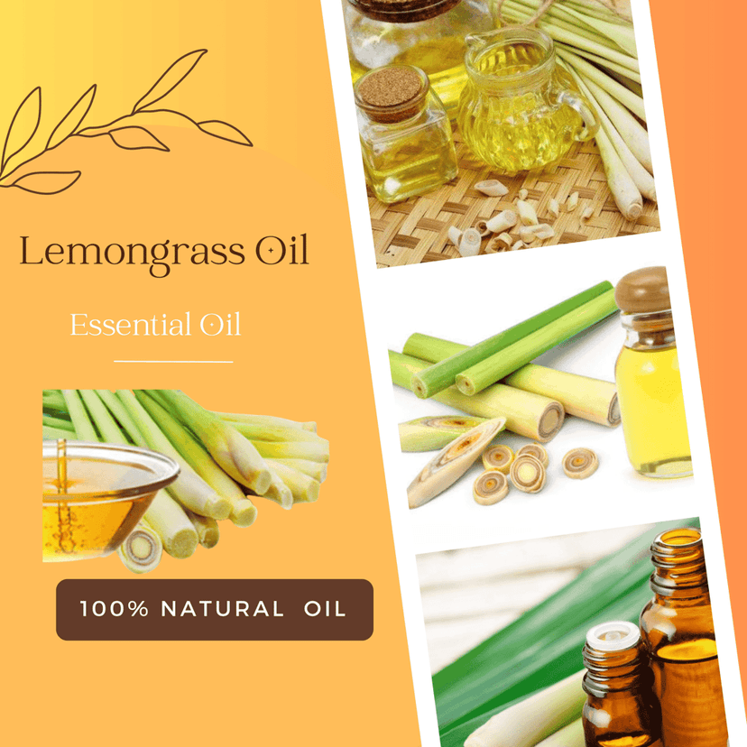 Premium Lemongrass Essential Oil - 100% Pure Extract for Aromatherapy and Wellness view 4