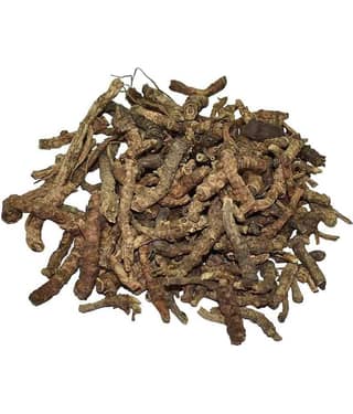 Nutrixia Food Kutki Titka Kul – Kutki – katuka – Kutka – Picrorhiza Kurroa Kutaki 50 gm