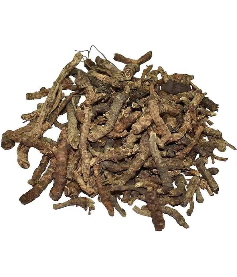 Nutrixia Food Kutki Titka Kul – Kutki – katuka – Kutka – Picrorhiza Kurroa Kutaki 50 gm
