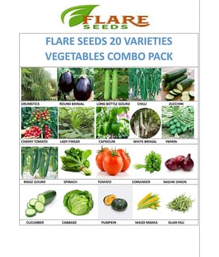 FLARE SEEDS Mixed Vegetable 20 Varieties ( 20 Seeds )