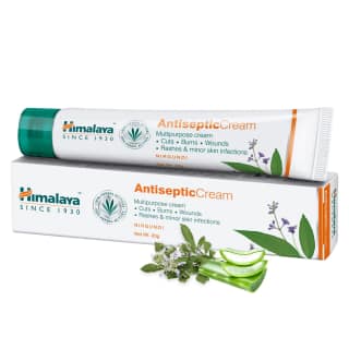 Himalaya Wellness Antiseptic Cream, 20 G