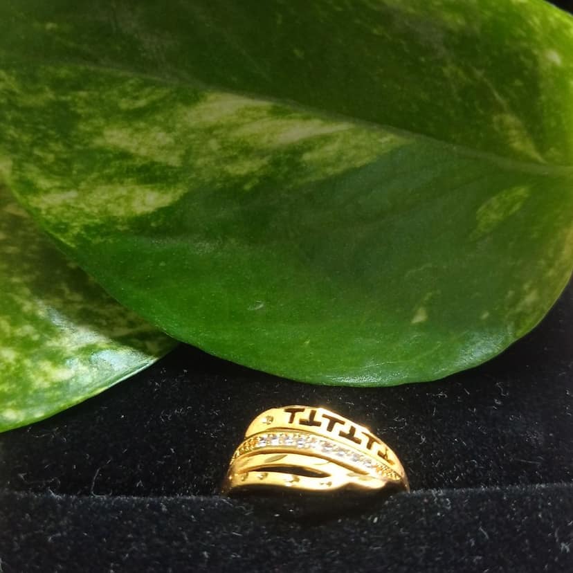 Trendy Gold-Plated Alloy Ring for Women with Elegant Zircon Design – Adjustable & Fashion-Forward