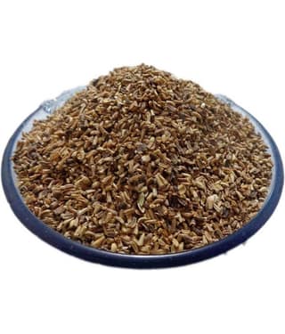 Nutrixia Food Kasni - Kasni Seeds - Kasini Beej - Kaasni Seeds- Cichorium Intybu 480 gm