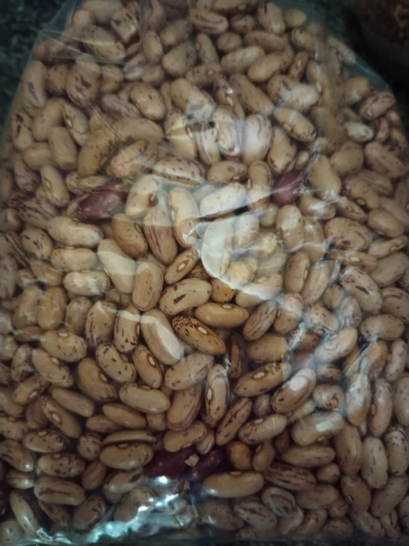 Rajma chitra