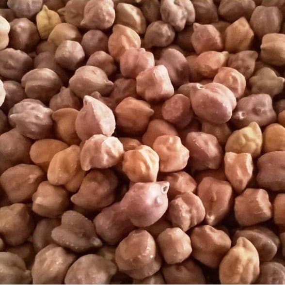 BENGAL GRAM view 4