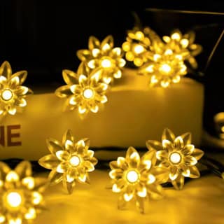GLOWSERIE Floral LED String Lights Warm White Decorative Lighting