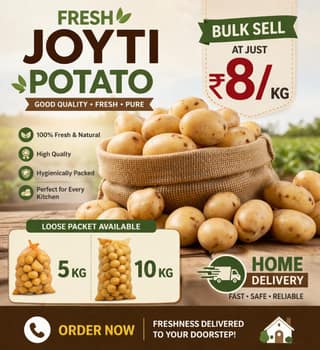 fresh potato