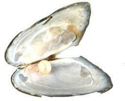 Nawani Silver Pendant and Chain Love Pearl to You view 2