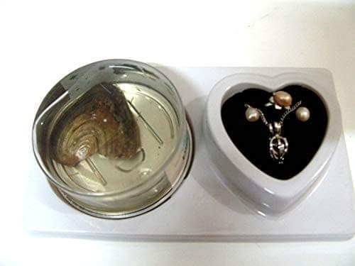 Nawani Silver Pendant and Chain Love Pearl to You view 4