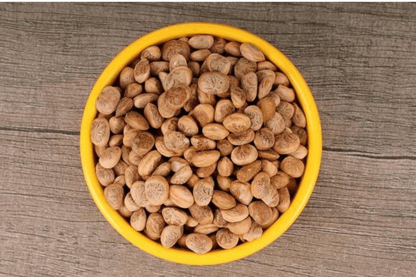 Chironji | Almondette Kernels | Chiraunji Dana 1Kg view 2