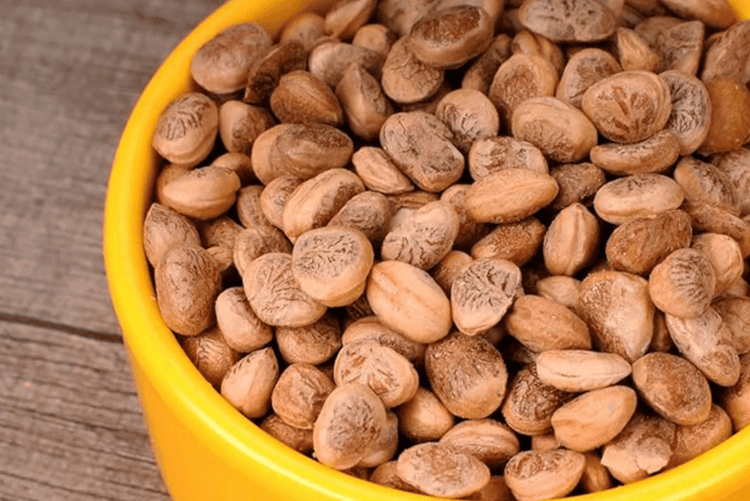 Chironji | Almondette Kernels | Chiraunji Dana 1Kg view 5