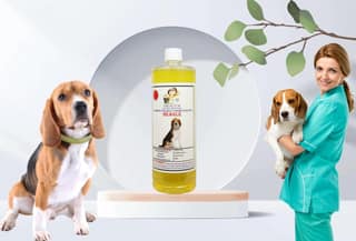 Swacch Shampoo Specially Formulated for Beagle (1 Litre) Lemon