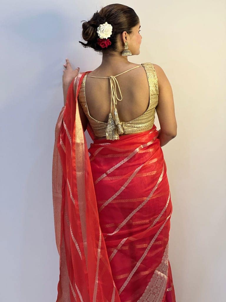 Organza Pure Banarasi Silk Saree With Striped body running blouse Red Color-3741 view 5