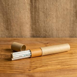 Plantable seed pencil 5 pcs box