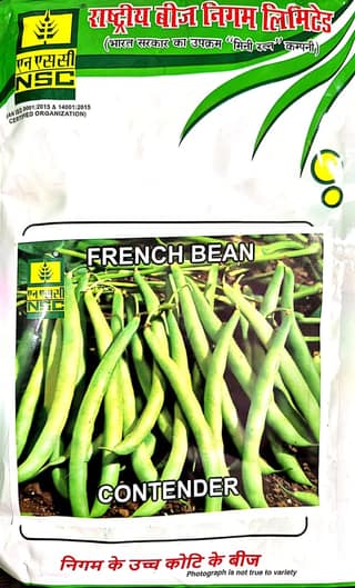 NSC FRENCH BEAN( CONTENDER) - 250 GM