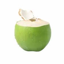 TENDER COCONUT - ORGANIC