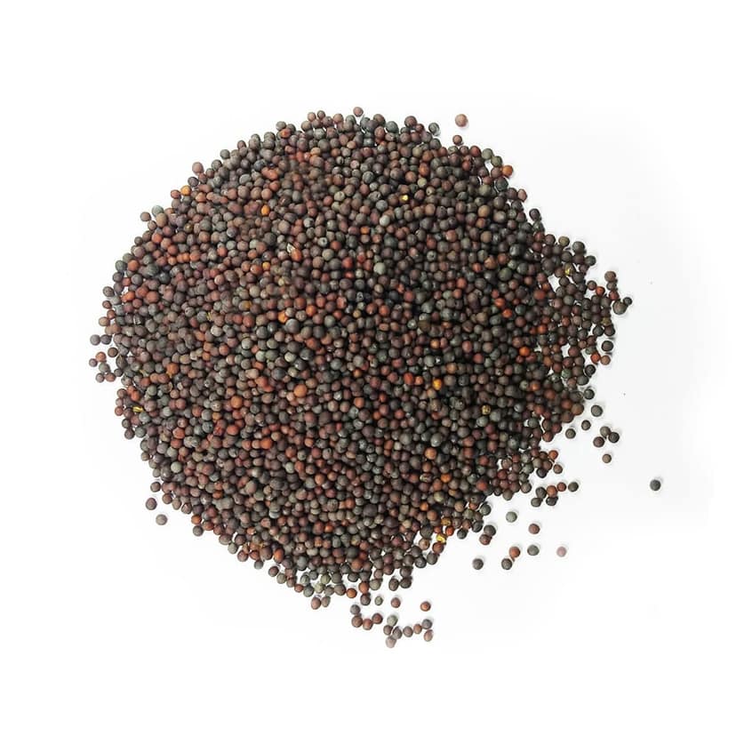 Hill Mustard Seeds 100g view 3