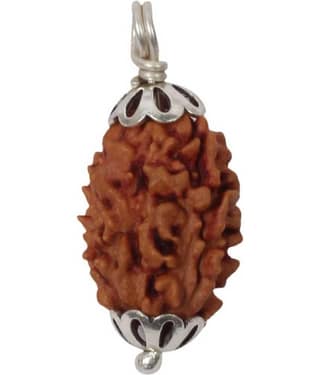 Astrodidi 3 Mukhi Rudraksha With Lab Certified Rudraksha
