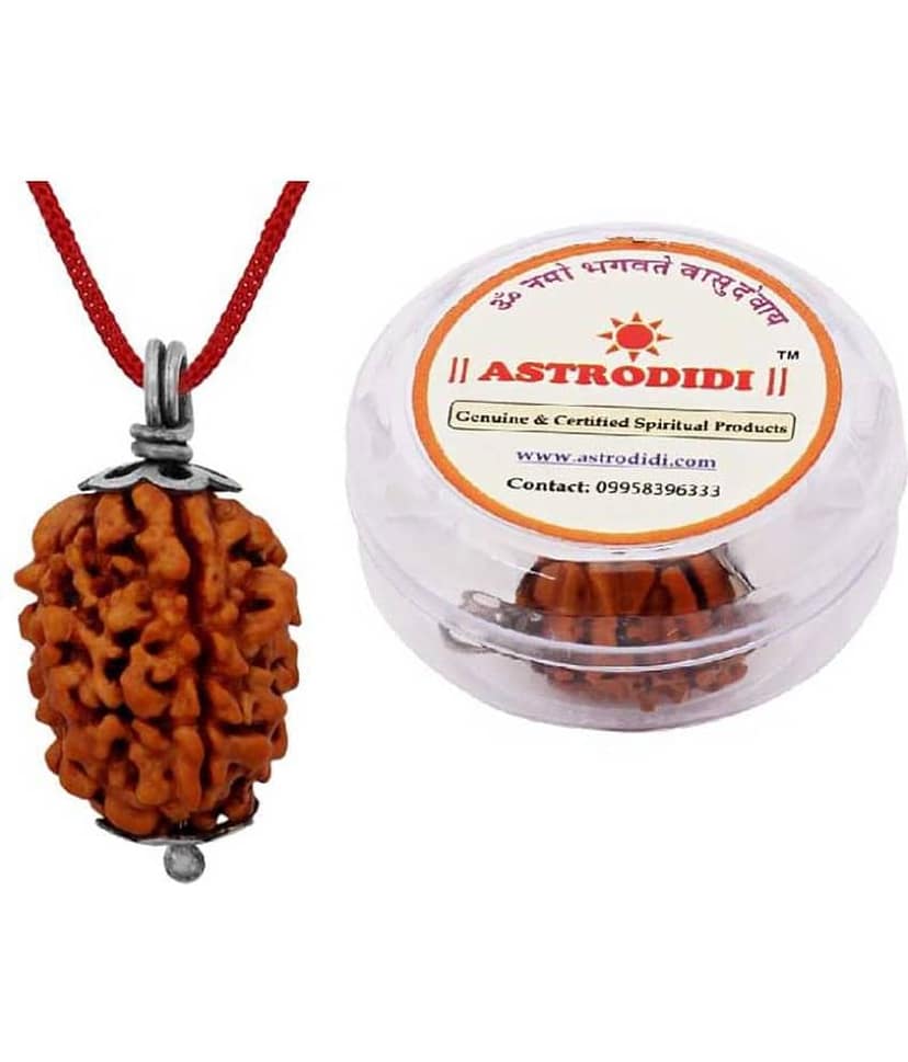 Astrodidi 3 Mukhi Rudraksha With Lab Certified Rudraksha view 2