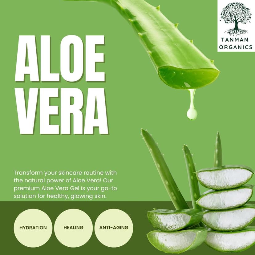 TANMAN ORGANICS Pure Natural Non-Toxic Aloe Vera Gel smooth gel for Acne, Scars, Glowing, Radiant And Moisturise Skin -100 ml view 5