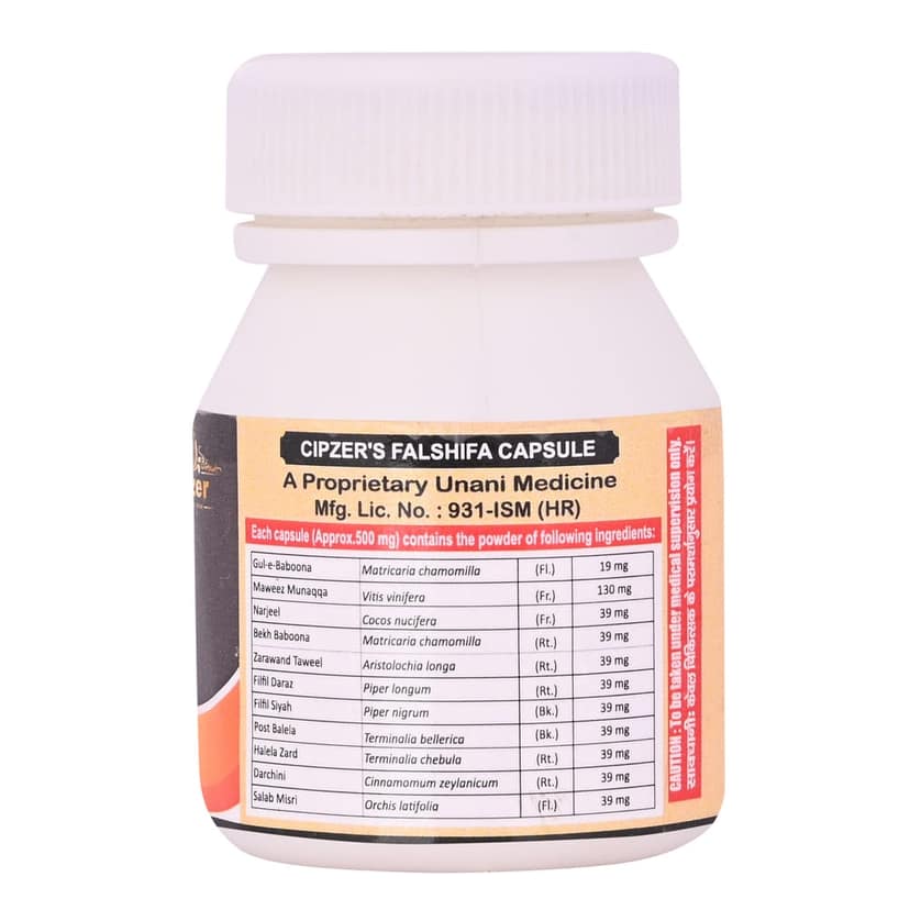 Cipzer Falshifa (60 Capsules): Comprehensive Renal, Joint, & Uric Acid Management view 2