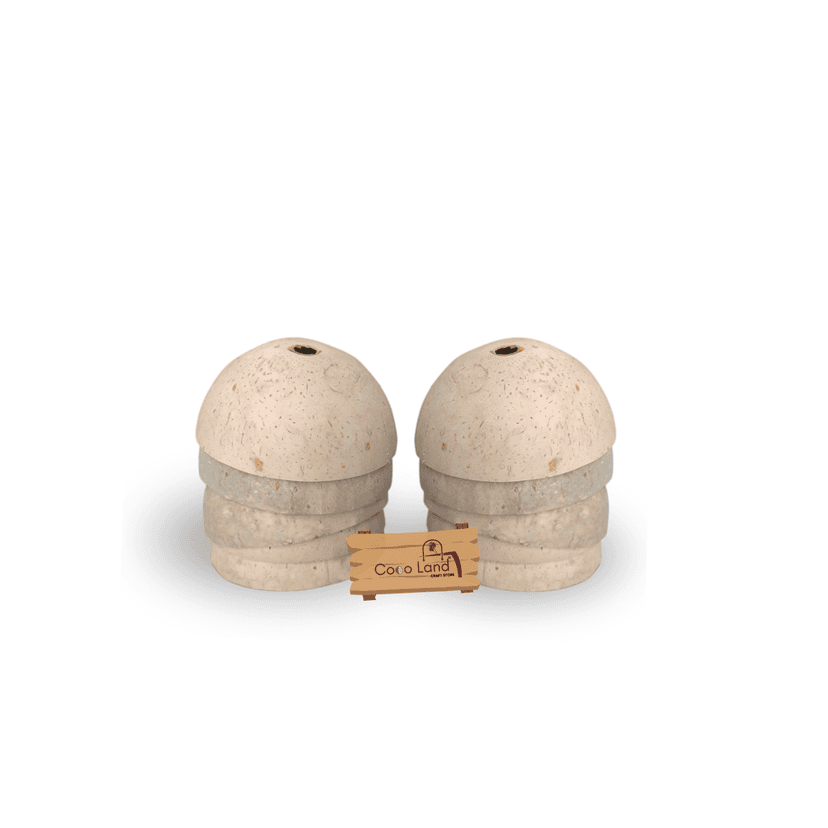 Coco Land White Holed Coconut Shell Finished Raw Craft | Decorative Pots,Craft Making | Handicraft,Agricraft