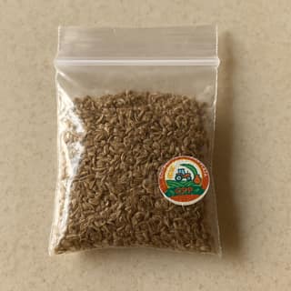 Gollori. Pavathamma Plaza's ajwain seeds