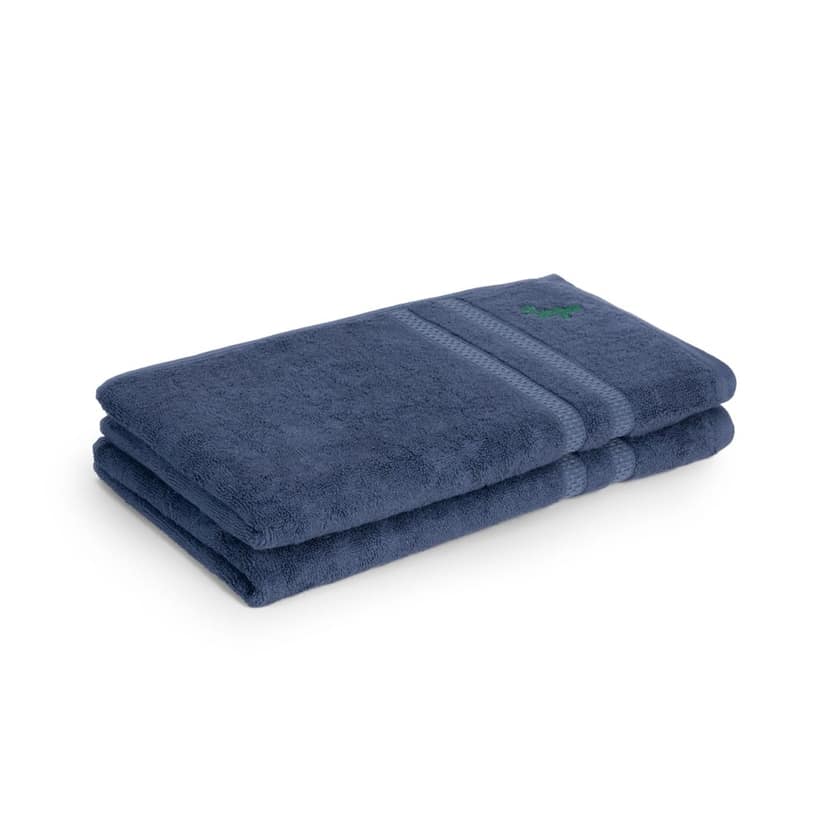 Feather & Spun Bamboo Cotton Hand Towel | Lavender Fragrance | Oeko-TEX® Standard 100 | Anti Microbial | Fade Resistant | Double Needle Stitch | 600 GSM - 40 cms x 71 cms (Pack of 2)