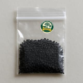 GEMMELI MOTTHI Trove's kalonji seeds (nigella sativa)