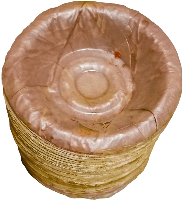 Eco-Friendly Leaf Bowls - Natural & Sustainable Disposable Tableware