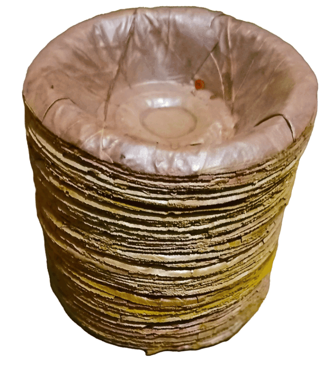 Eco-Friendly Leaf Bowls - Natural & Sustainable Disposable Tableware view 2