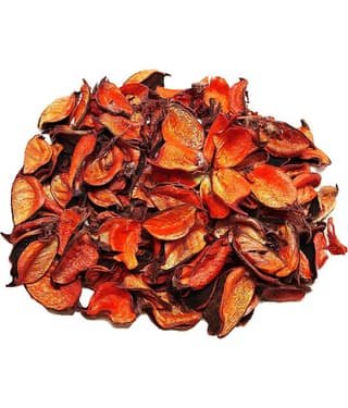 DS Potpourri - Pack of 1
