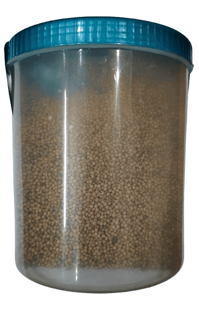 Mustard Yellow Seeds 500g - 100% Pure and Natural view 5