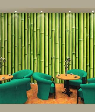 sekhmet Nature Wallpaper ( 45 x 500 ) cm ( Pack of 1 )