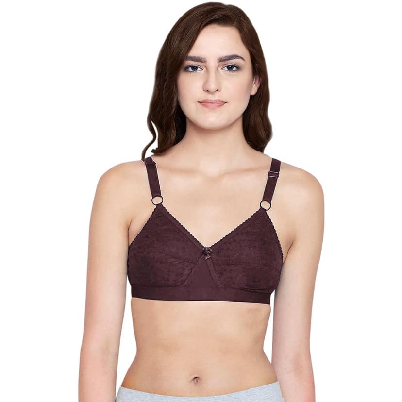 Bodycare 100% Cotton Lightly Padded Non wired Tshirt Bra-Pack of 3 view 2
