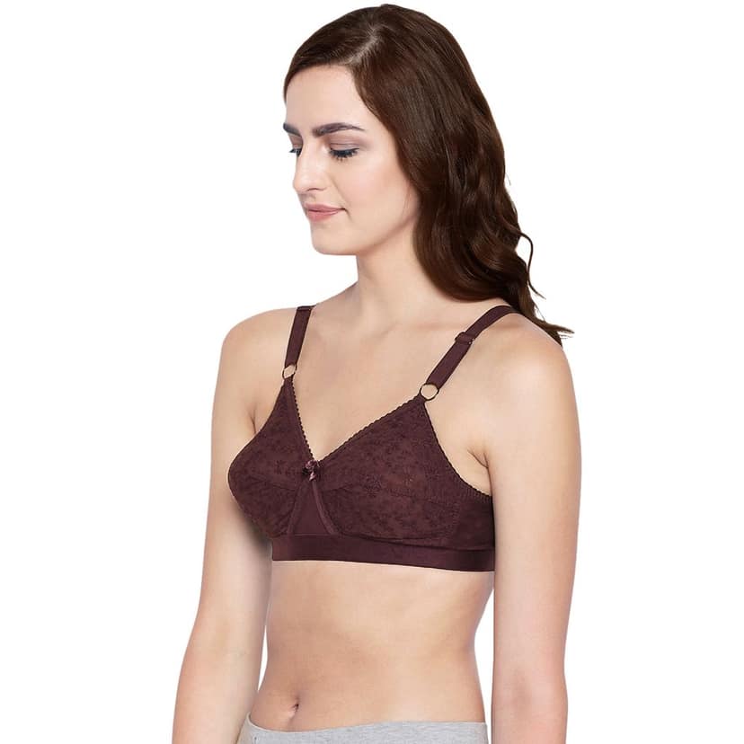 Bodycare 100% Cotton Lightly Padded Non wired Tshirt Bra-Pack of 3 view 3