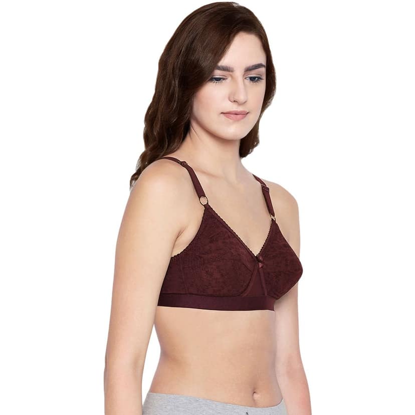 Bodycare 100% Cotton Lightly Padded Non wired Tshirt Bra-Pack of 3 view 5