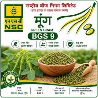 Nsc green gram bgs 9 , 1 kg packing