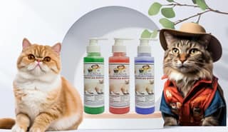 SWACCH Premium Shampoo for American Bobtail (200ML) (Combo Pack of 3) NEEM ALOVERA,Strawberry & Lavender